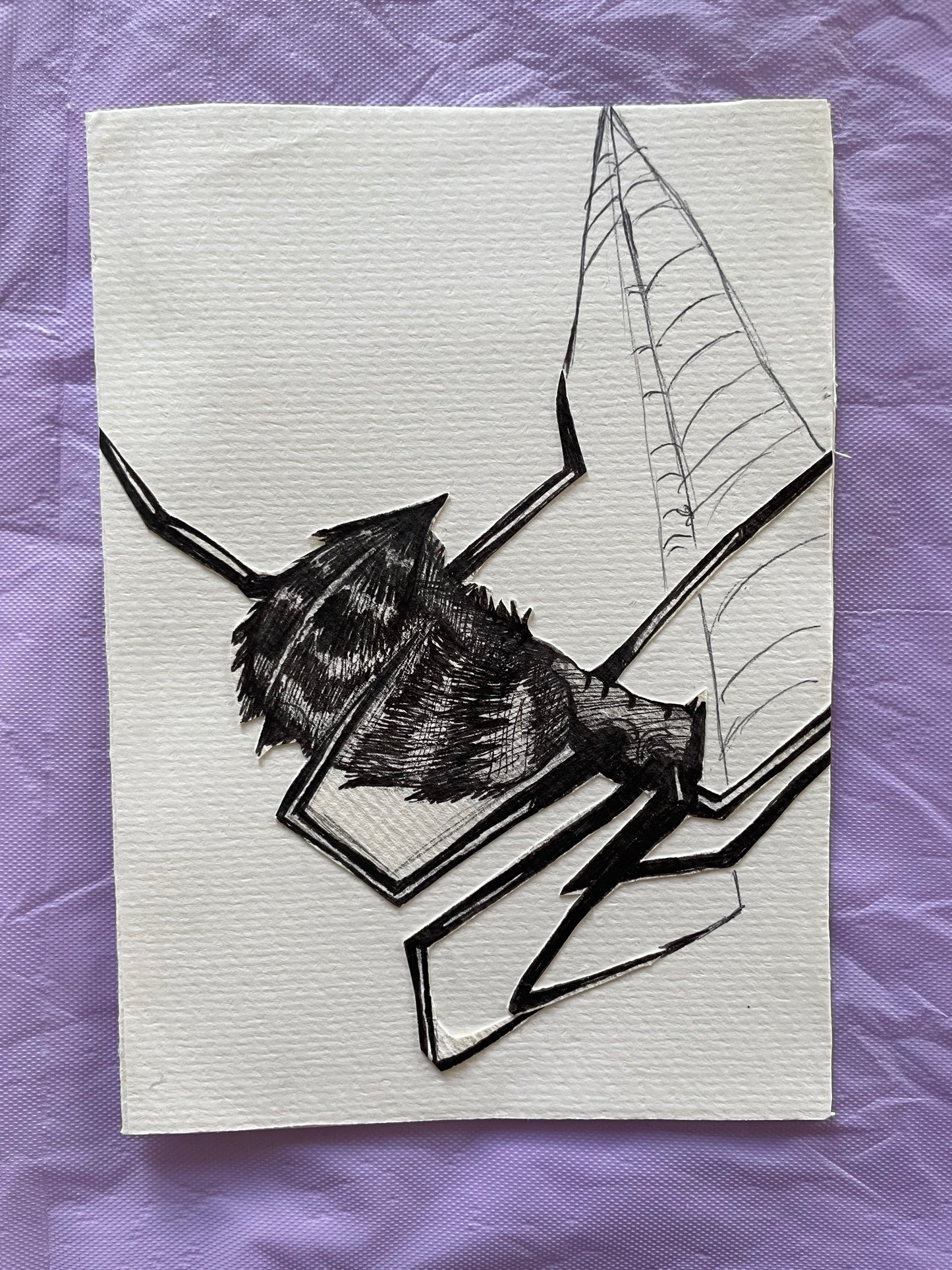 Custom spider illustration card, hand-made and original.