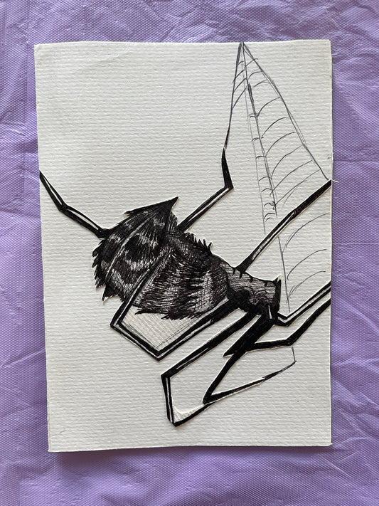 Custom spider illustration card, hand-made and original.