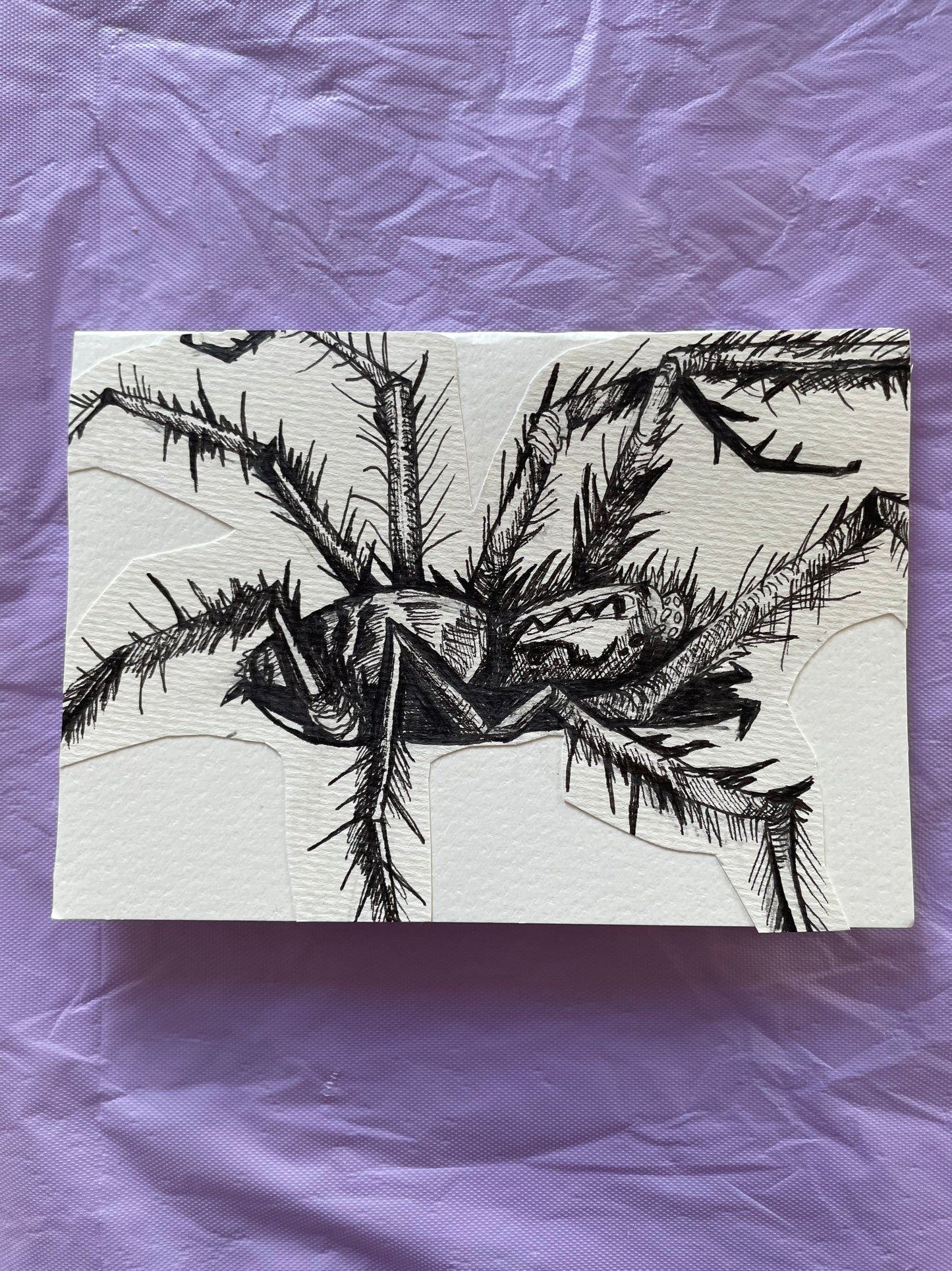 Custom spider illustration card, hand-made and original.