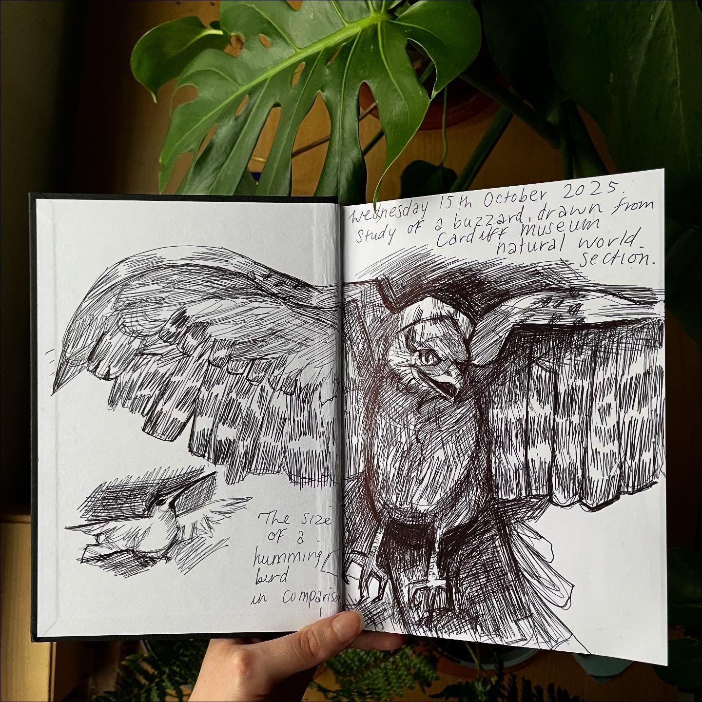 Biro Pen study commission !!